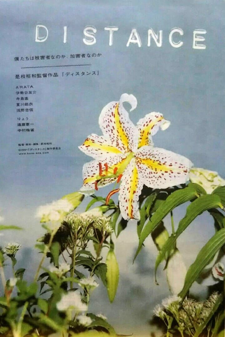 Poster di Distance