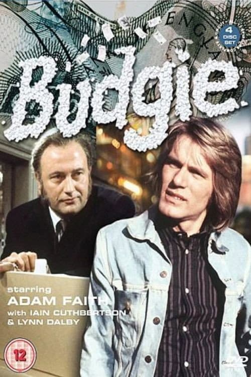 Poster di Budgie