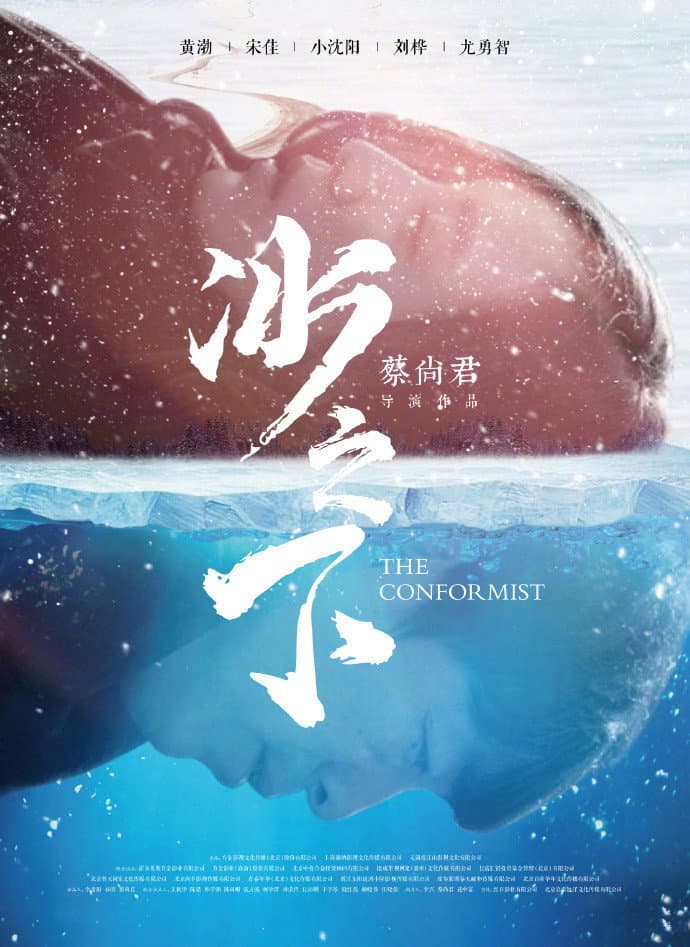 Poster di 冰之下