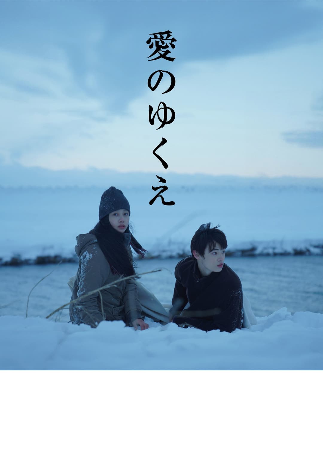 Poster di 愛のゆくえ