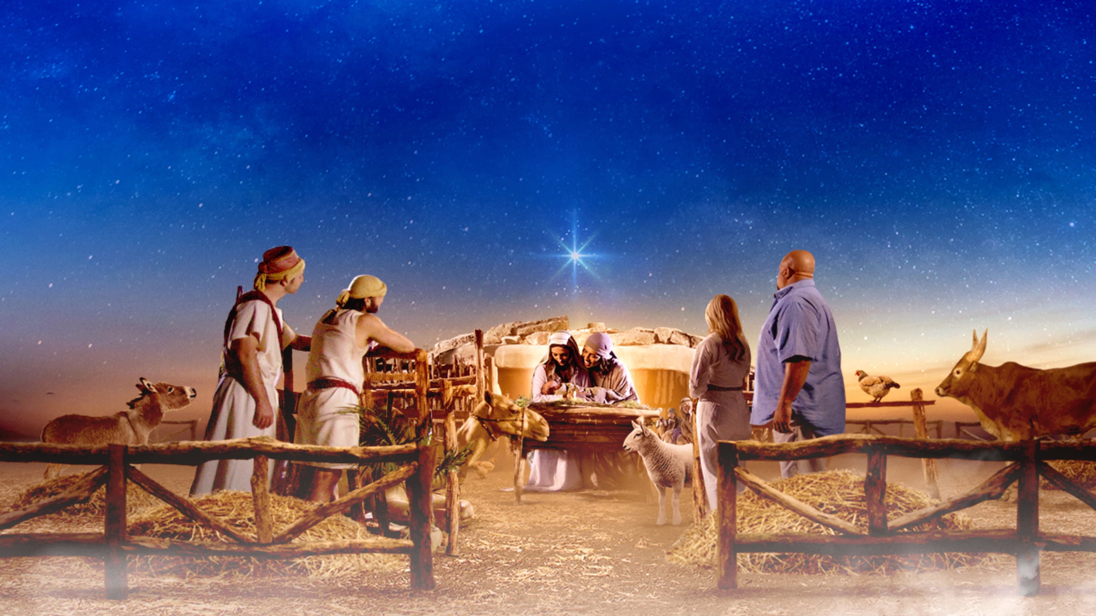Bringing Back Christmas - immagine