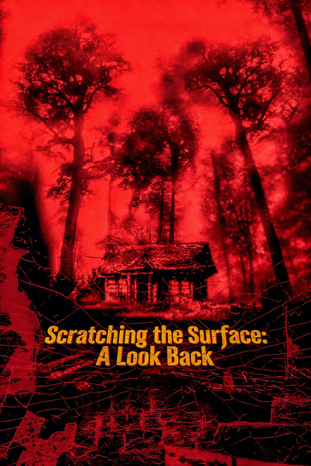 Poster di Scratching the Surface: A Look Back