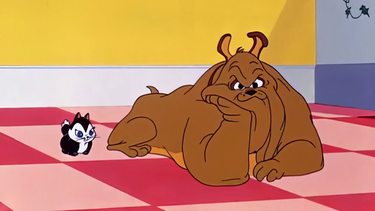 L'importanza di chiamarsi gatto - immagine