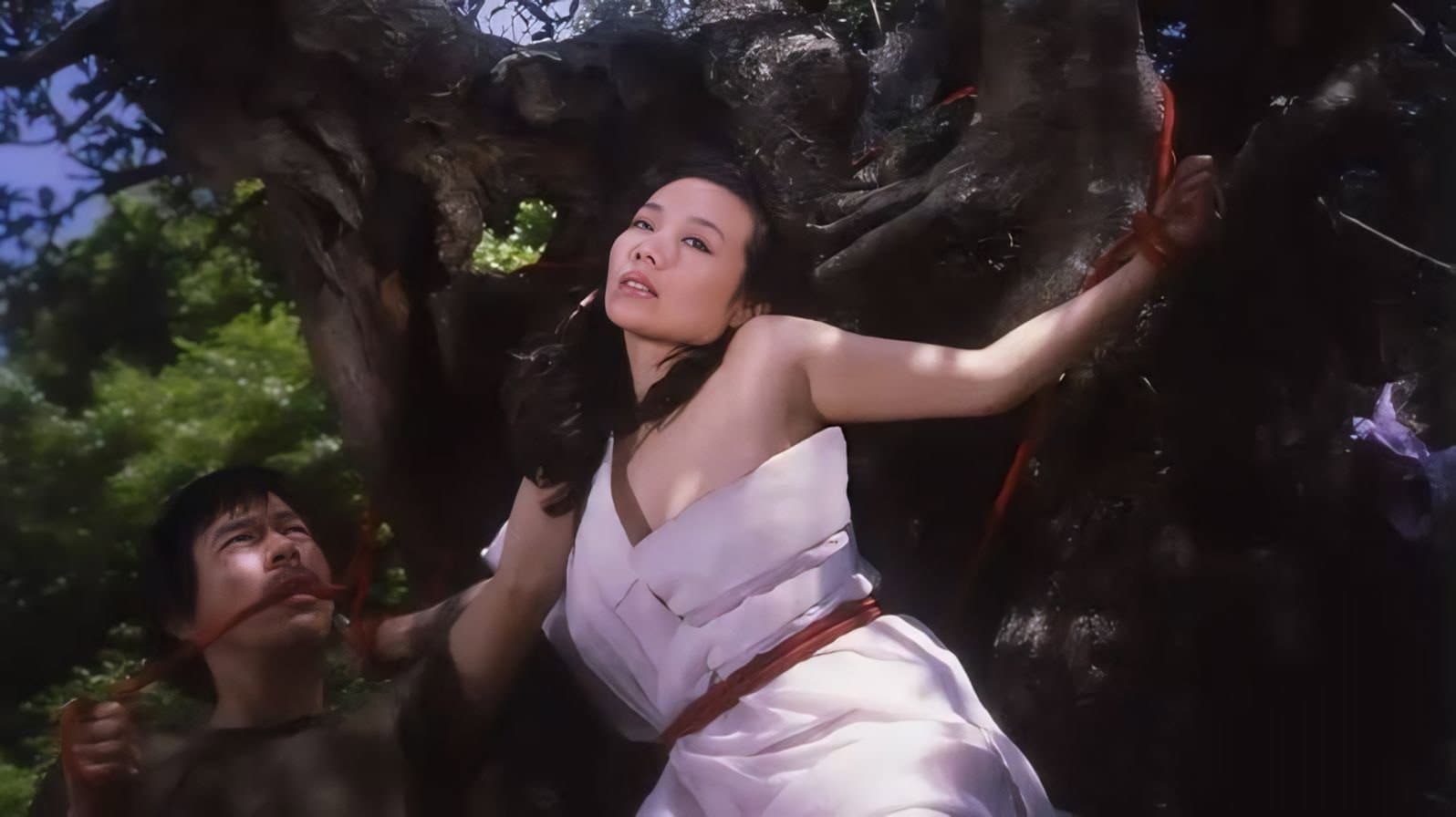 団鬼六　女秘書縄調教 - immagine