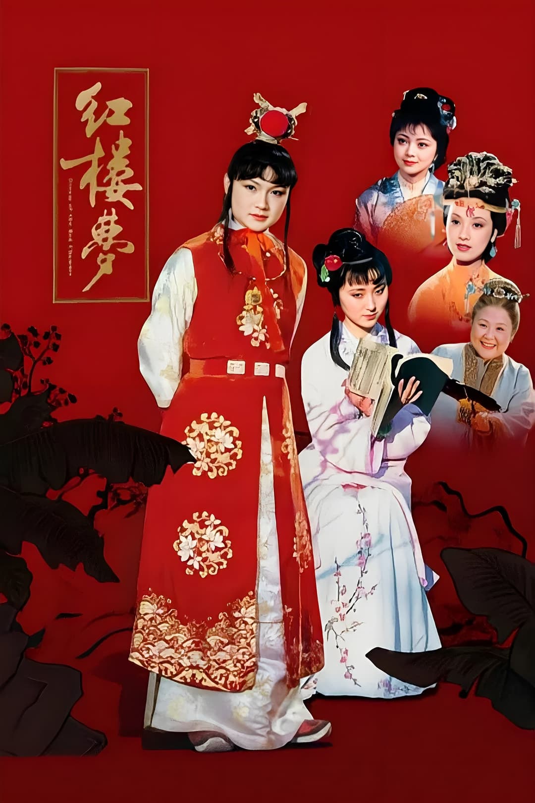 Poster di 红楼梦