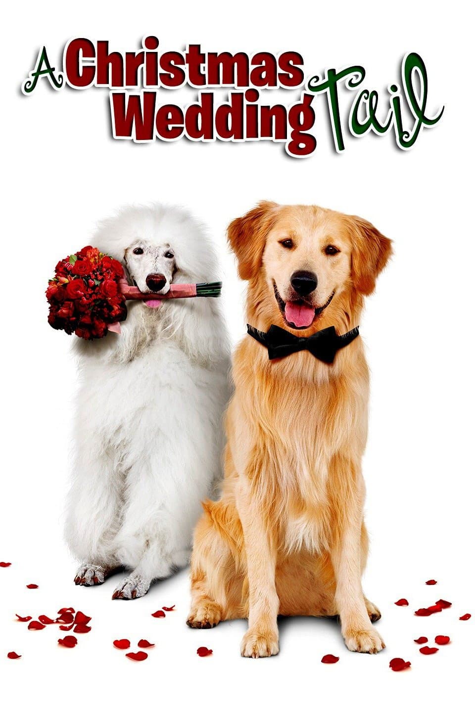 Poster di Un matrimonio sotto l'albero