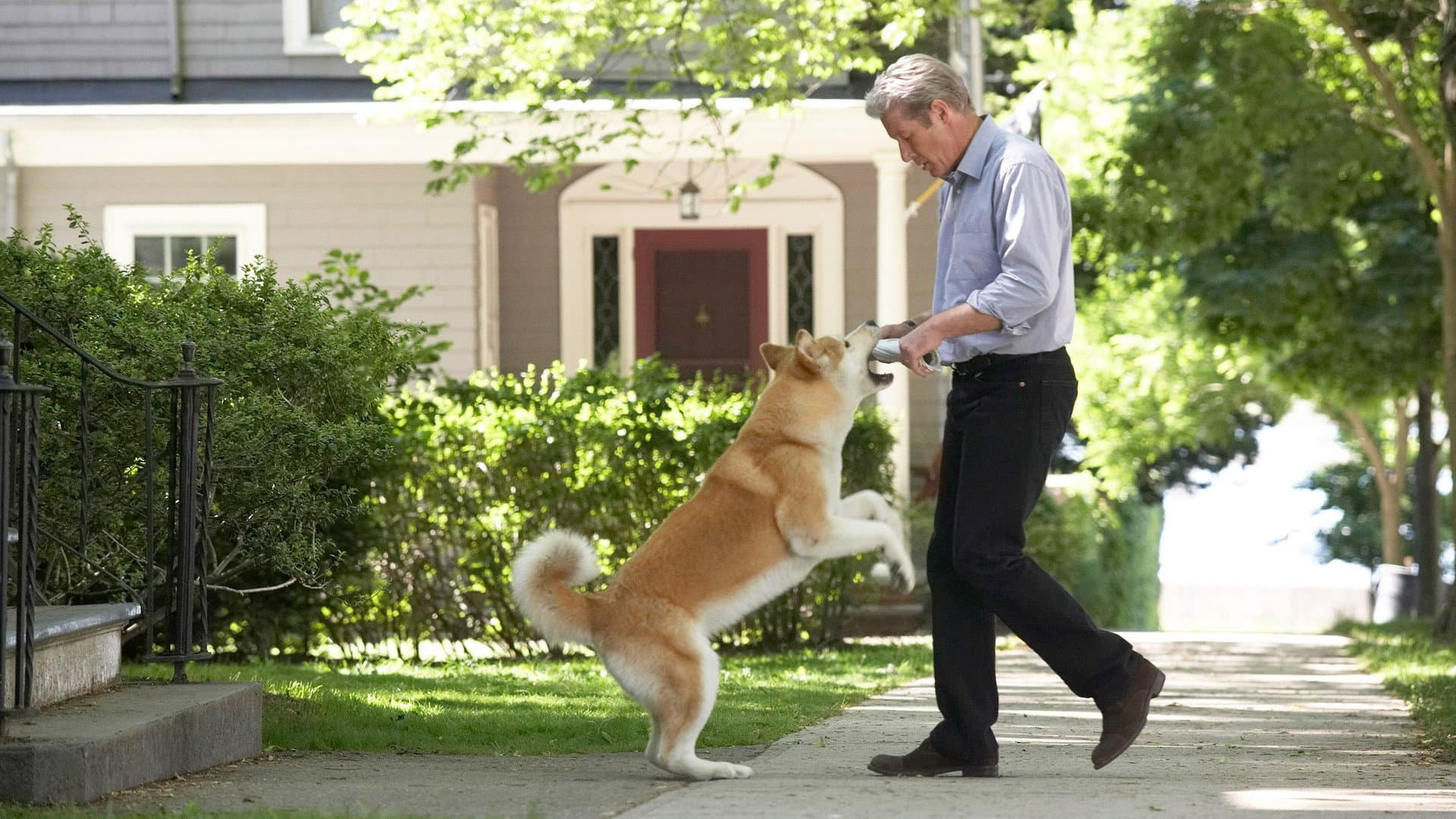 Hachiko - Il tuo migliore amico - immagine