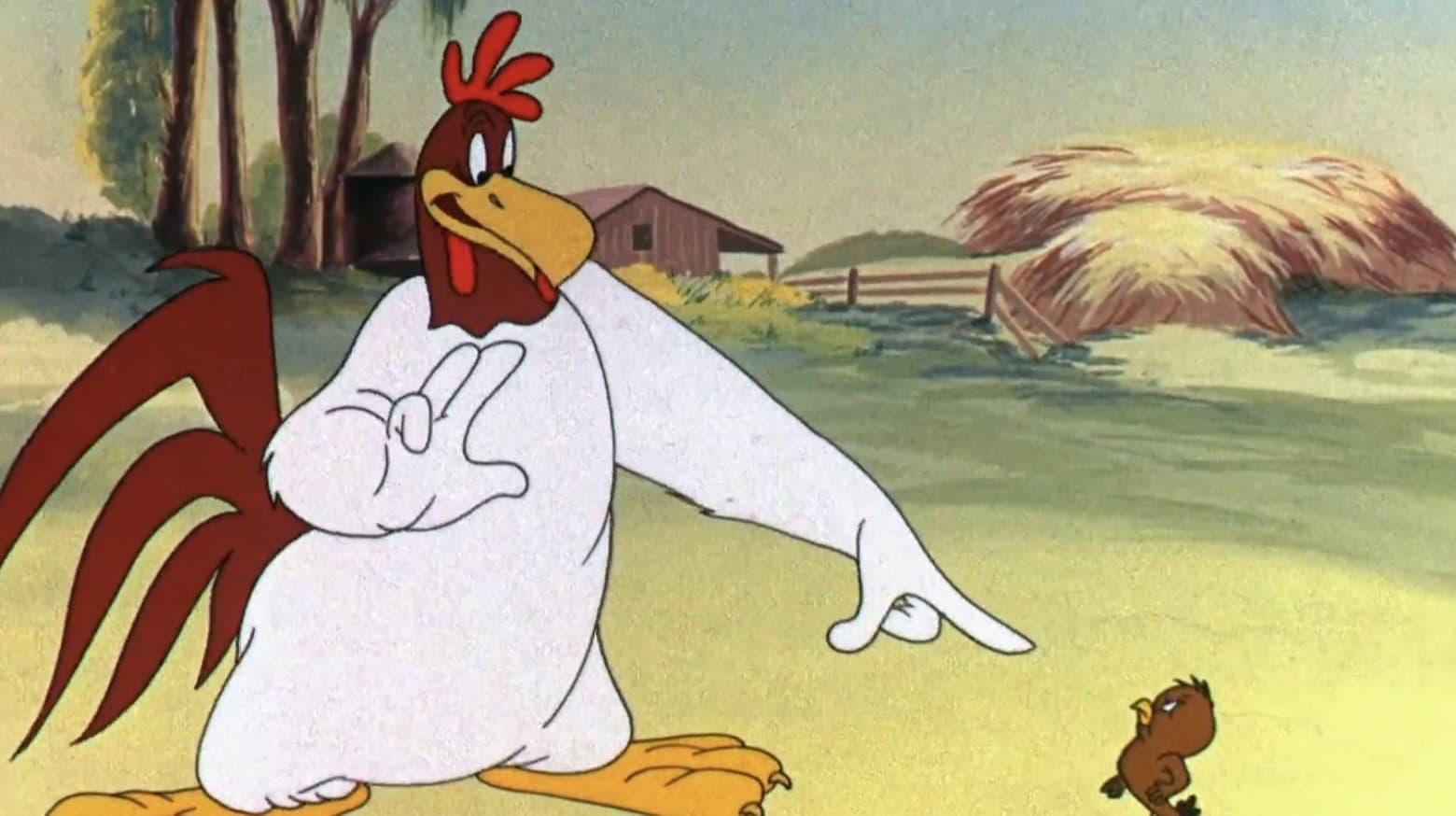 La gallina, questa sconosciuta - immagine