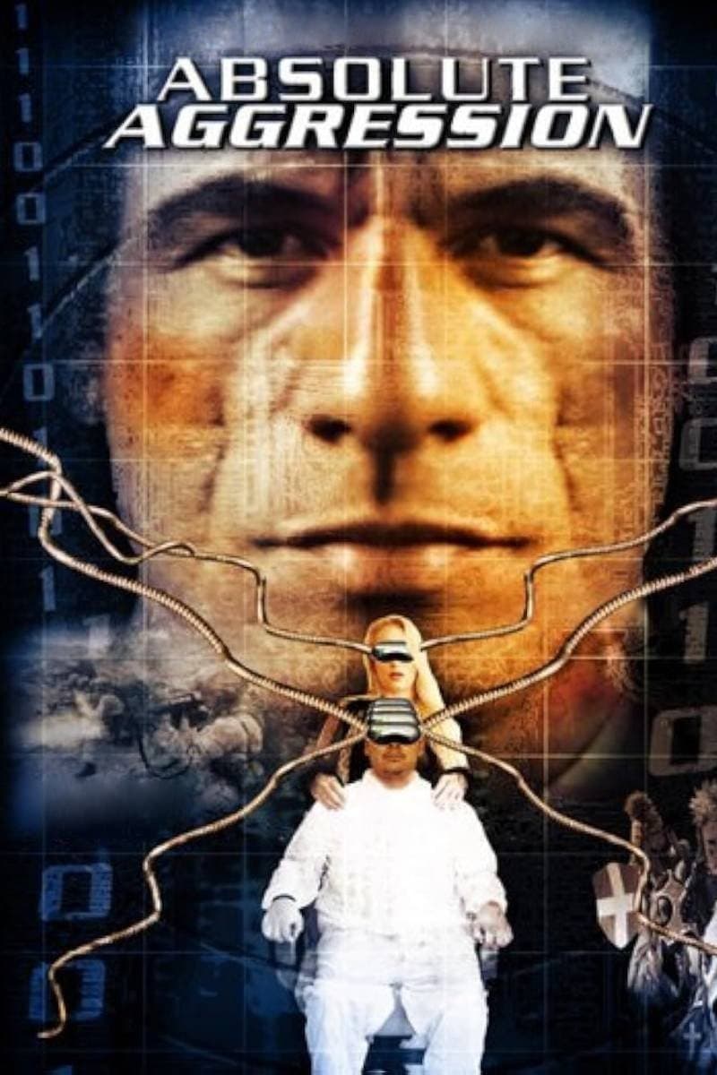 Poster di Absolute Aggression