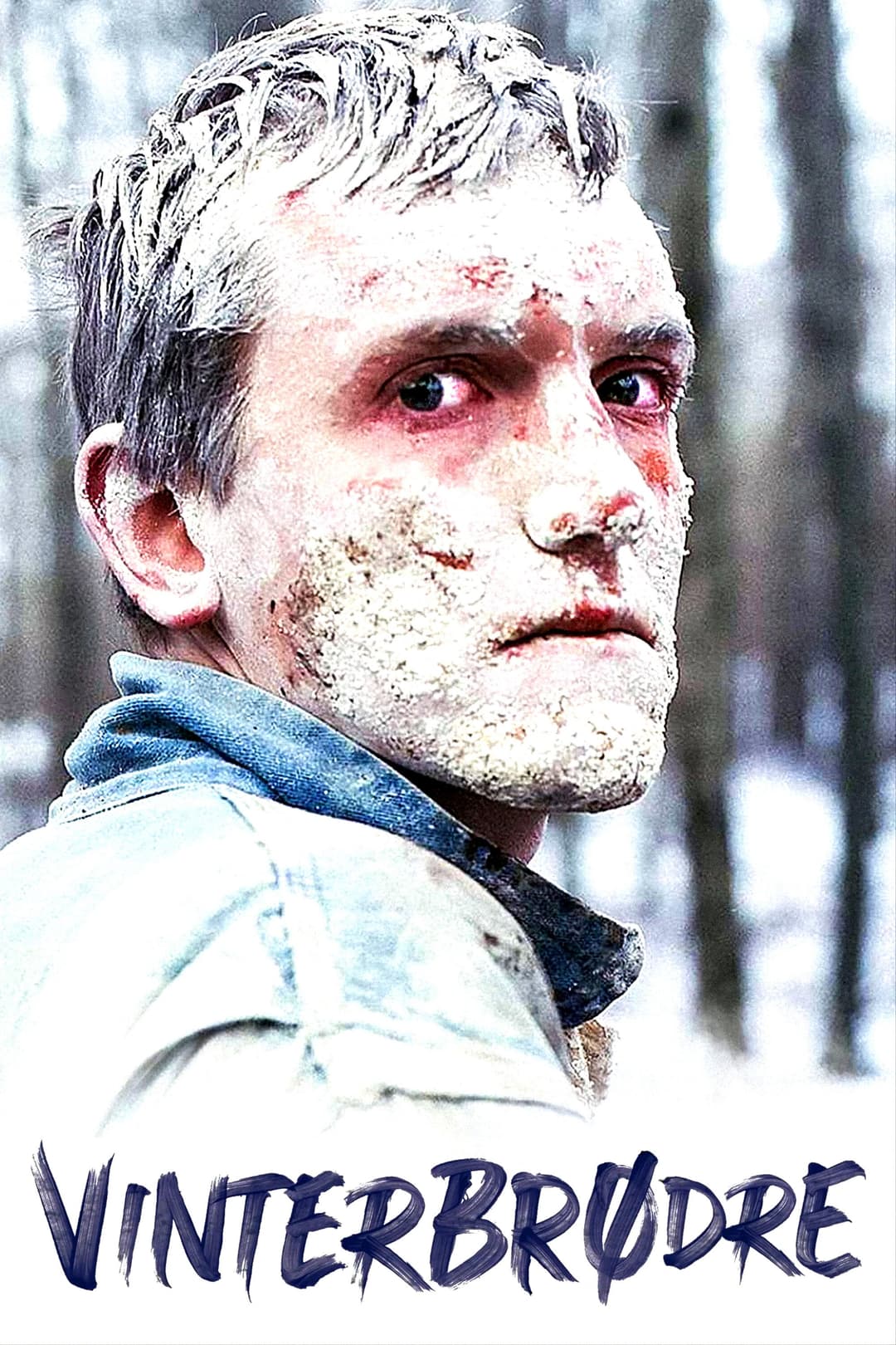 Poster di Winter Brothers