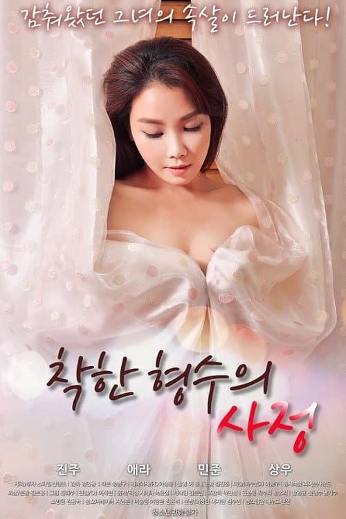 Poster di 착한 형수의 사정