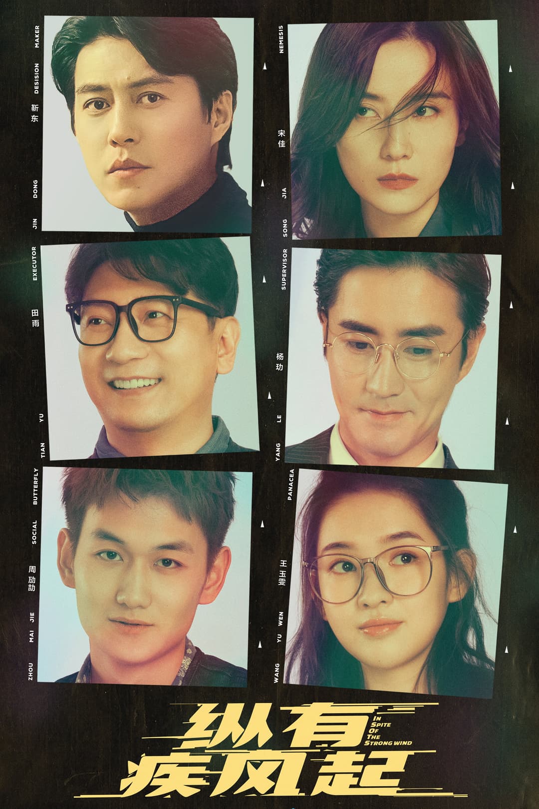 Poster di 纵有疾风起