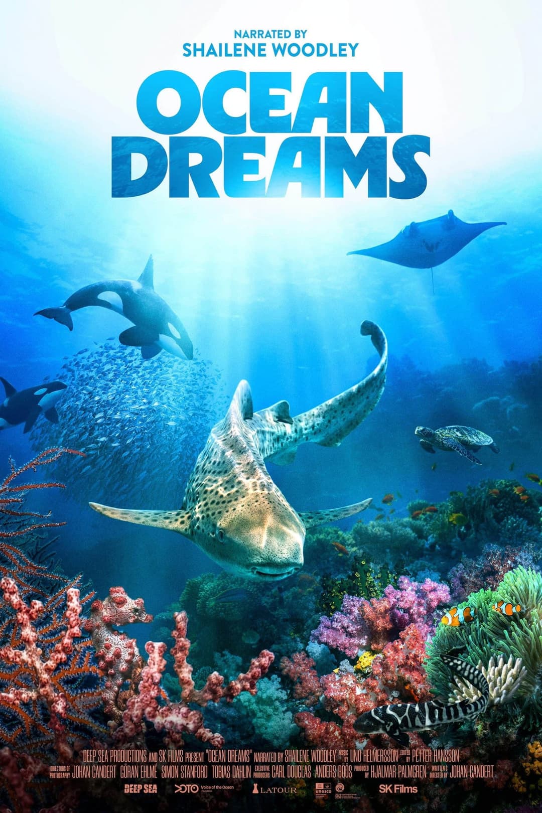 Poster di Ocean Dreams