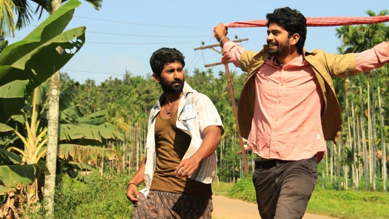 திட்டிவாசல் - immagine
