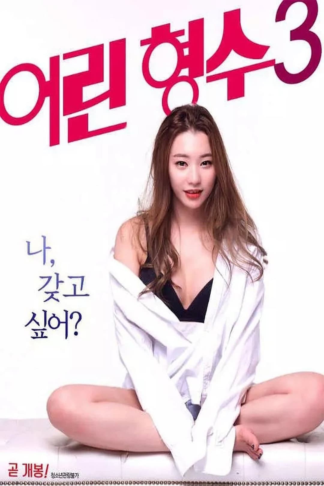 Poster di 어린 형수 3