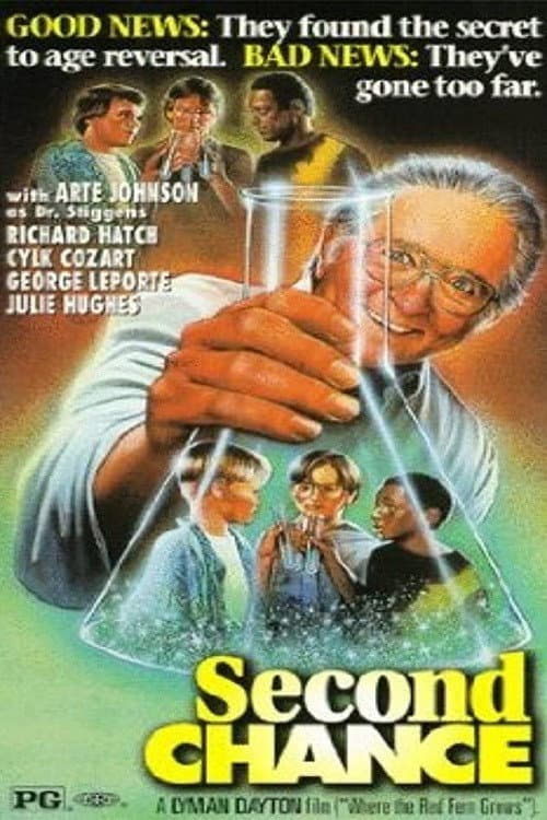 Poster di Second Chance