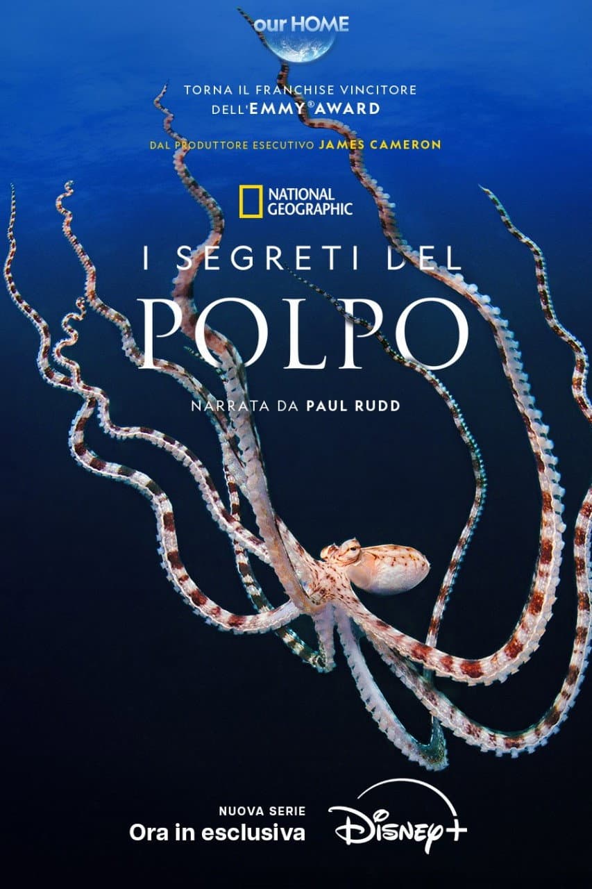 Poster di I segreti del polpo