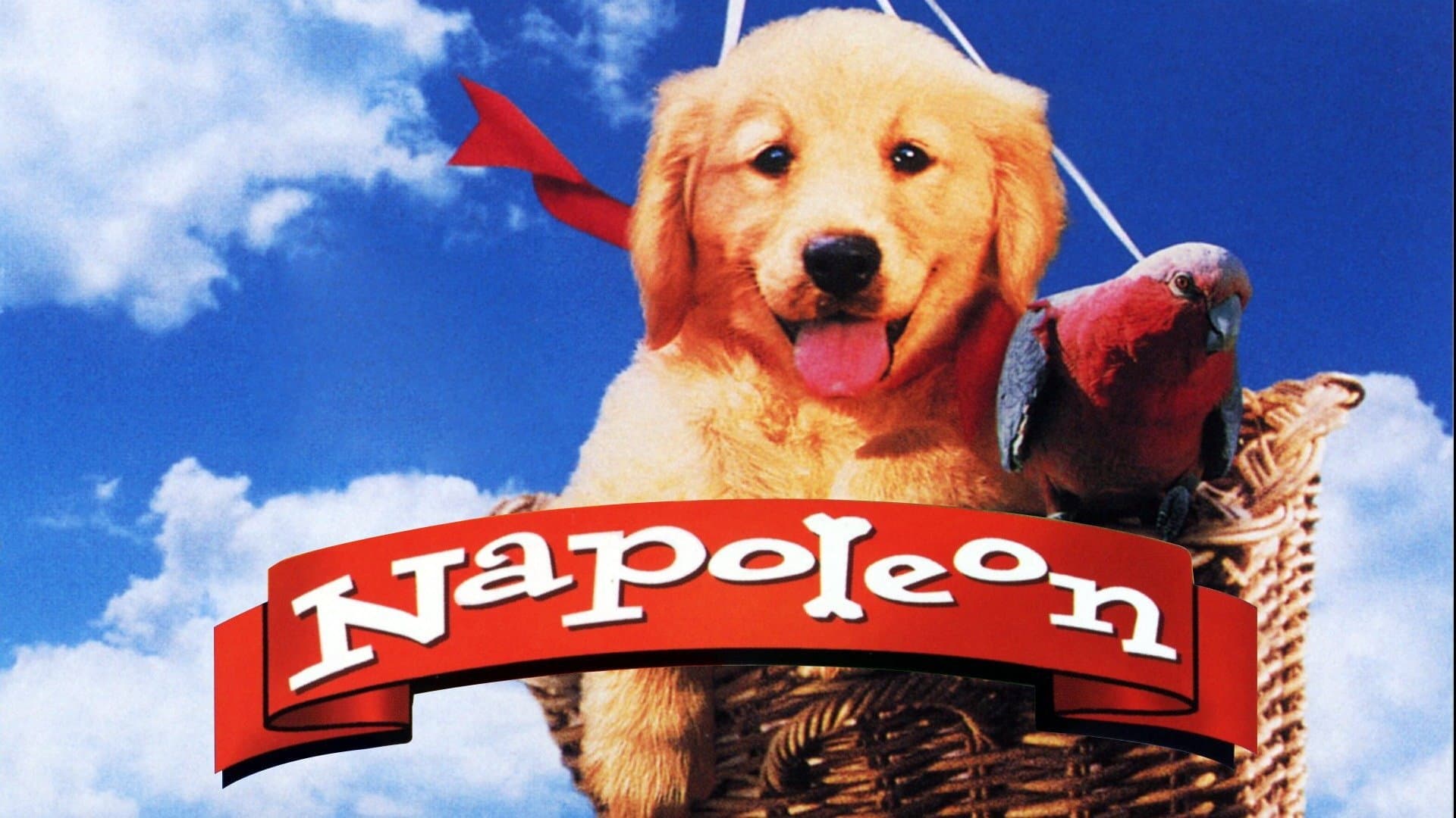 Napoleon - immagine