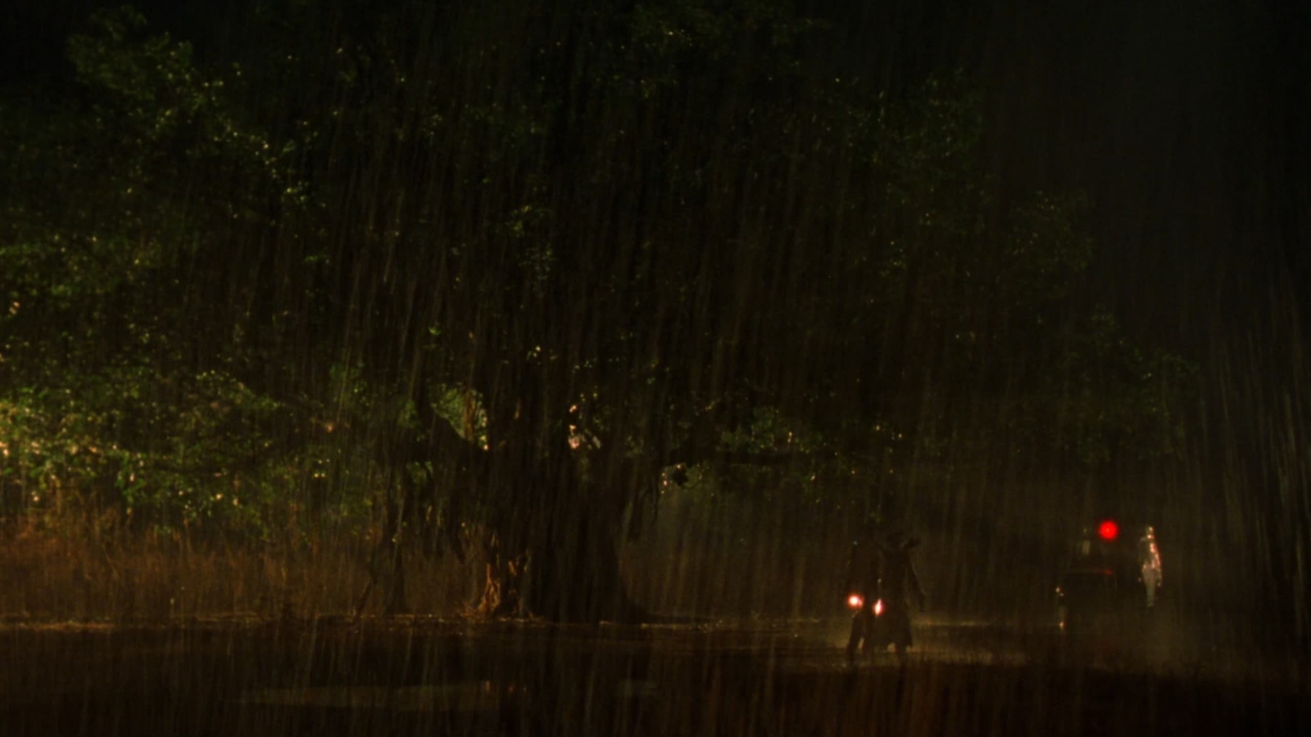 Monsoon Wedding - Matrimonio indiano - immagine