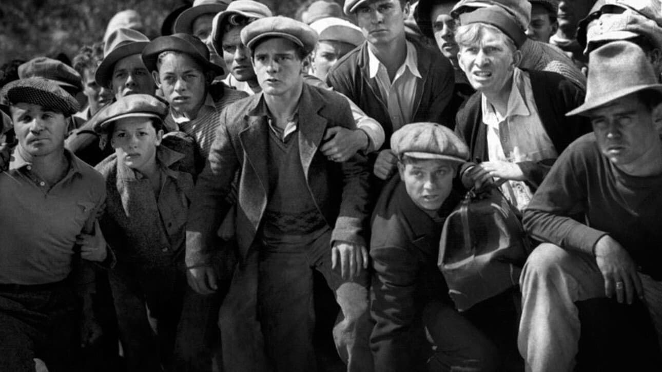 Selvaggi ragazzi di strada - immagine