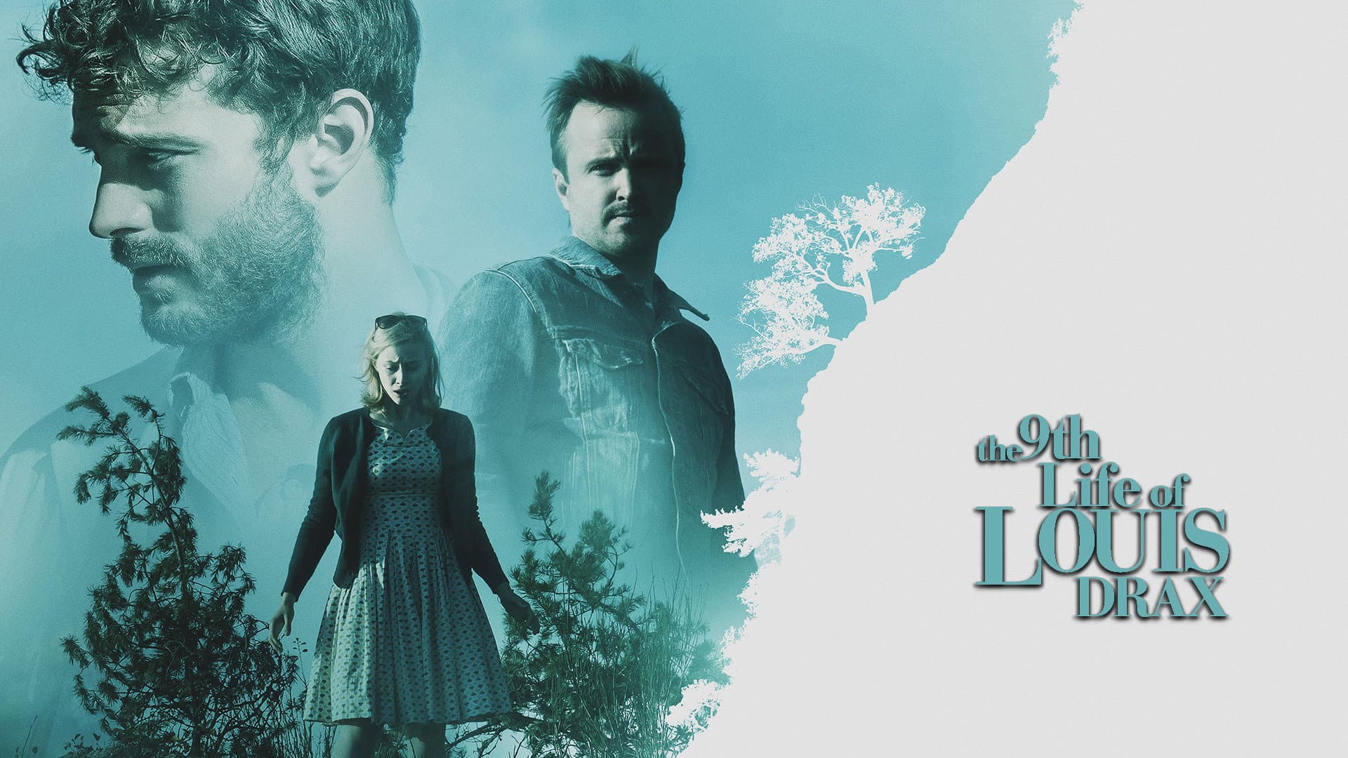 The 9th Life of Louis Drax - immagine