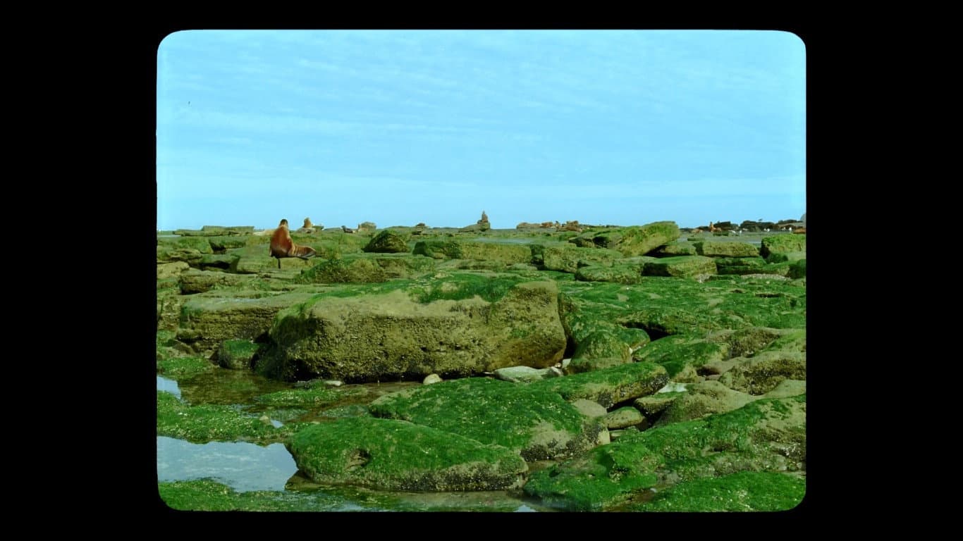 Jauja - immagine