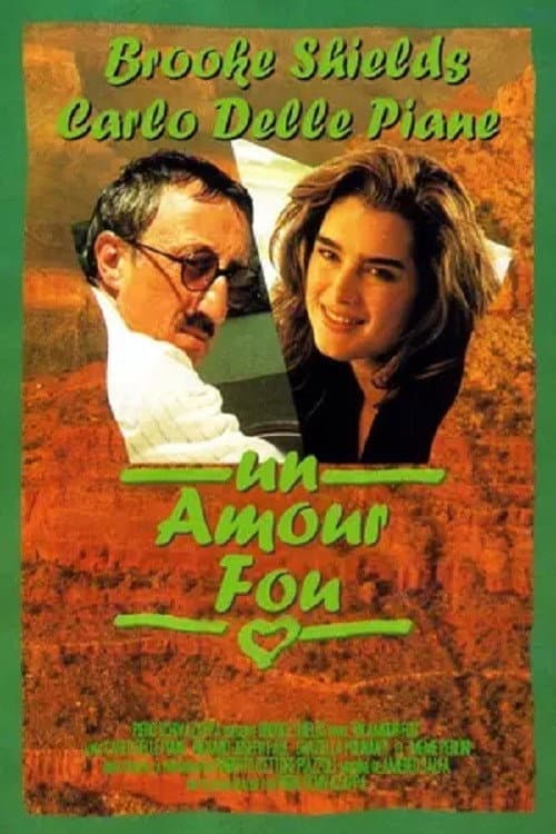 Poster di Un amore americano