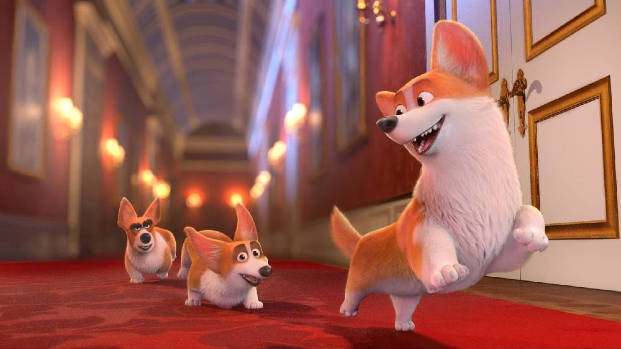 Rex - Un cucciolo a palazzo - immagine