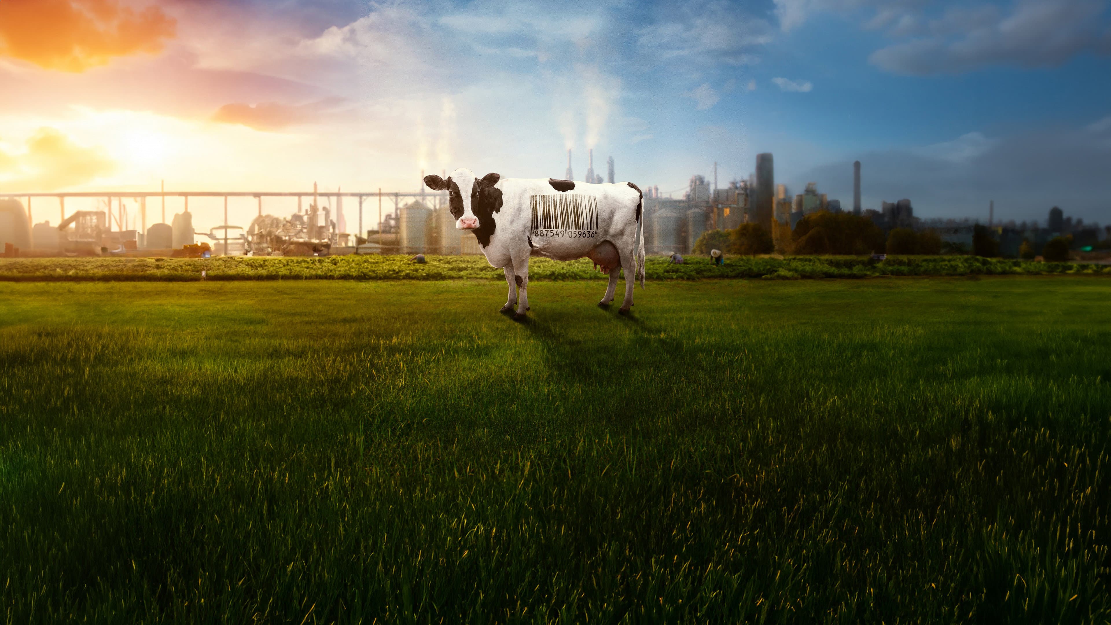 Food, Inc. 2 - immagine