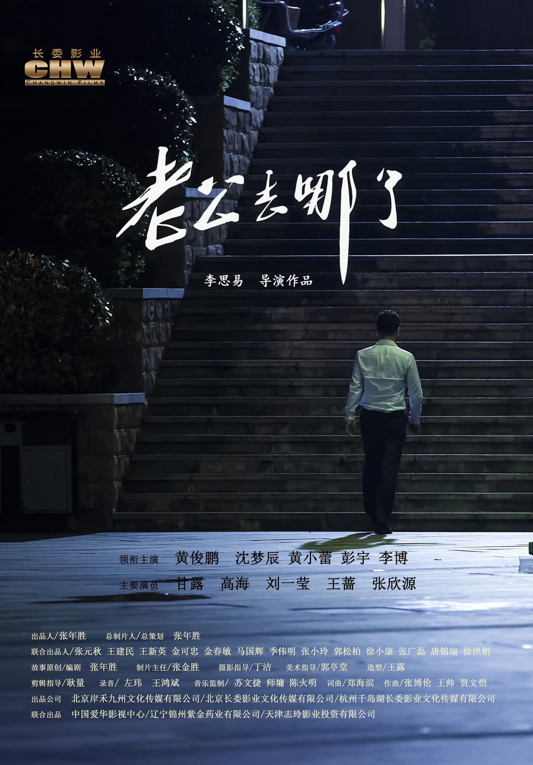 Poster di 老公去哪了
