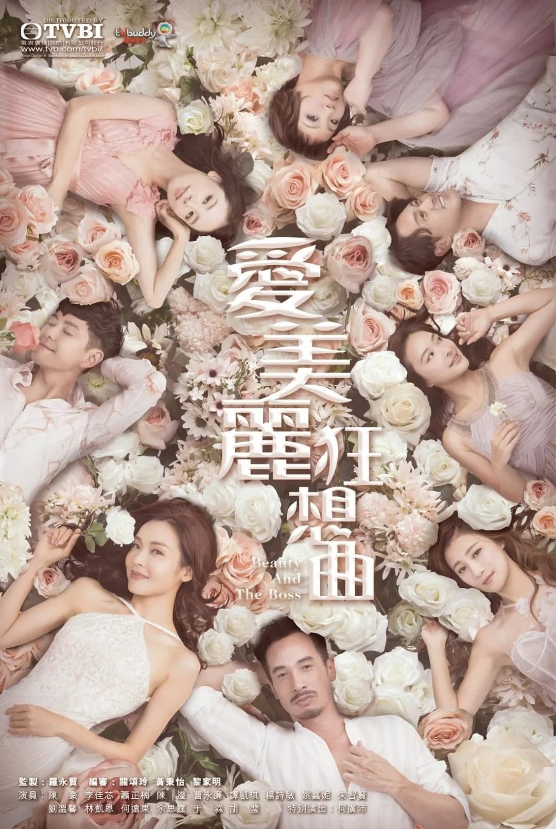 Poster di 愛美麗狂想曲