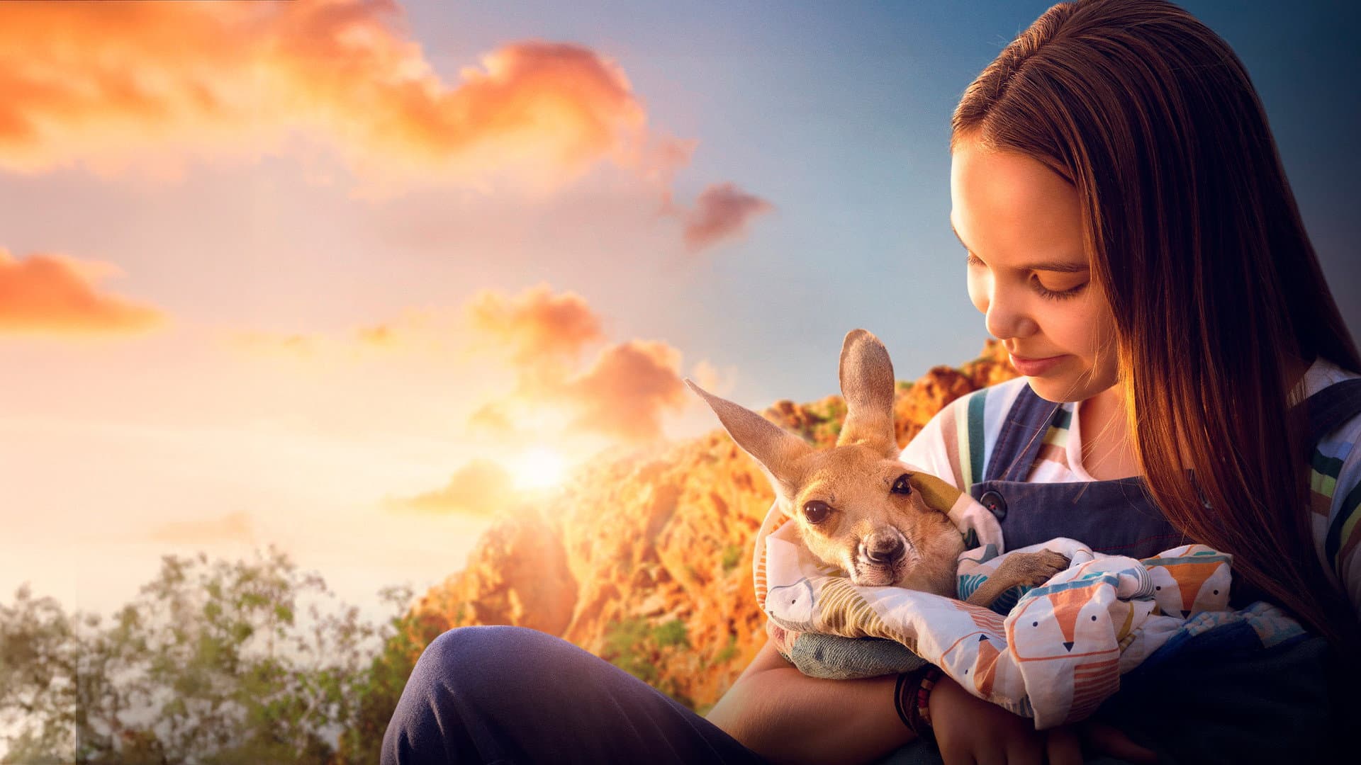 Kangaroo - immagine