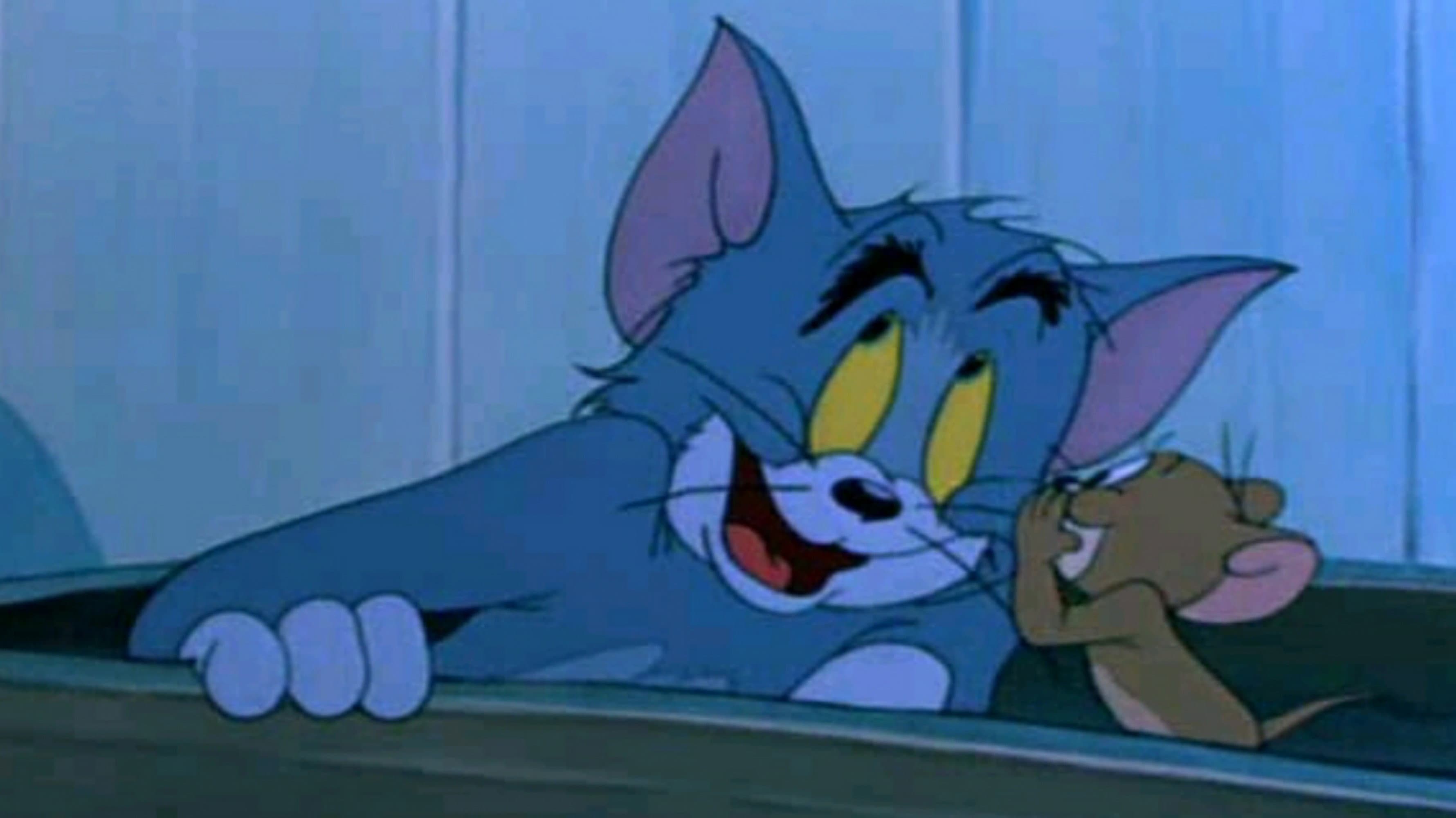 Gatto vecchio, vita nuova - immagine