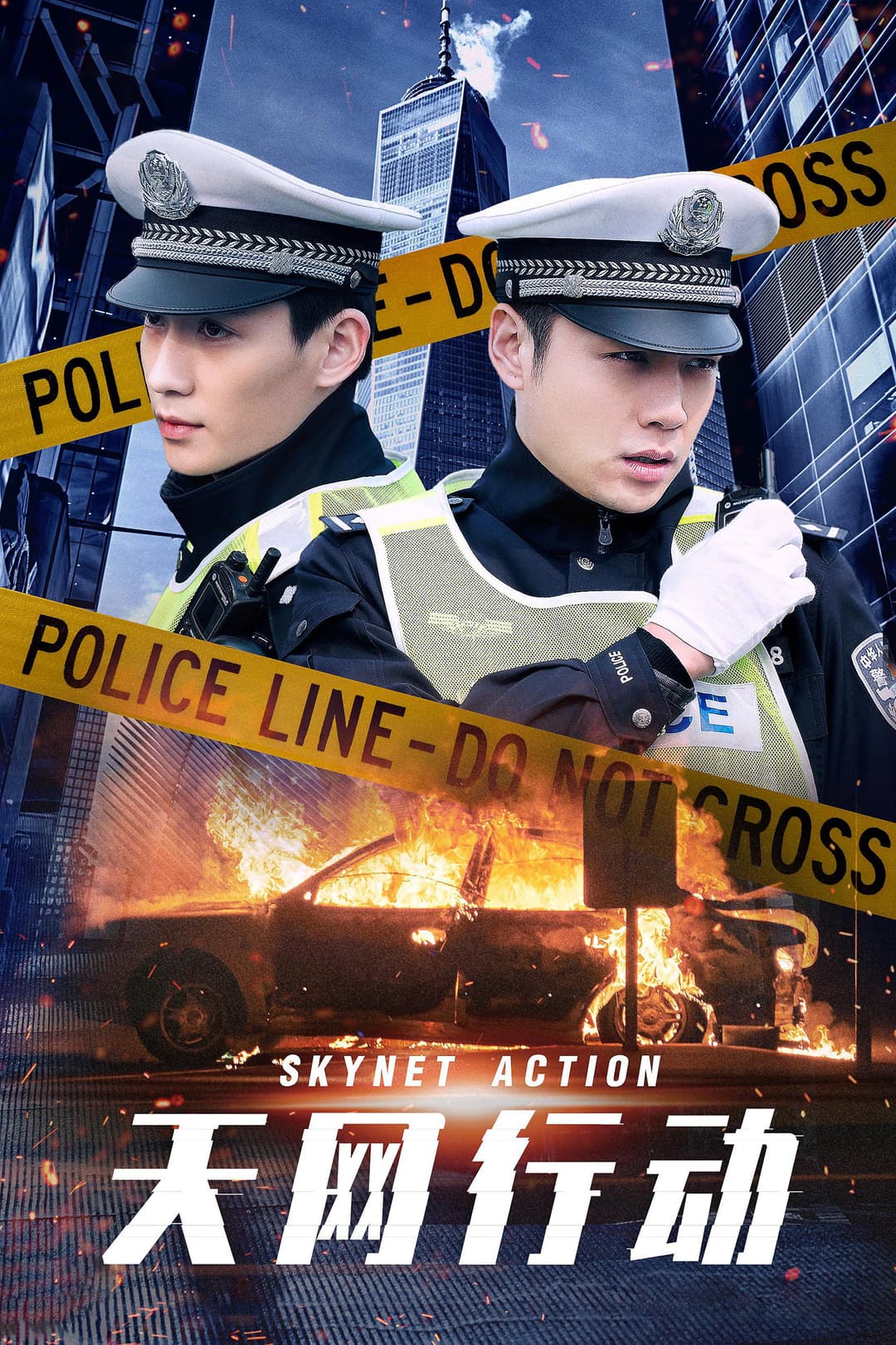 Poster di 天网行动