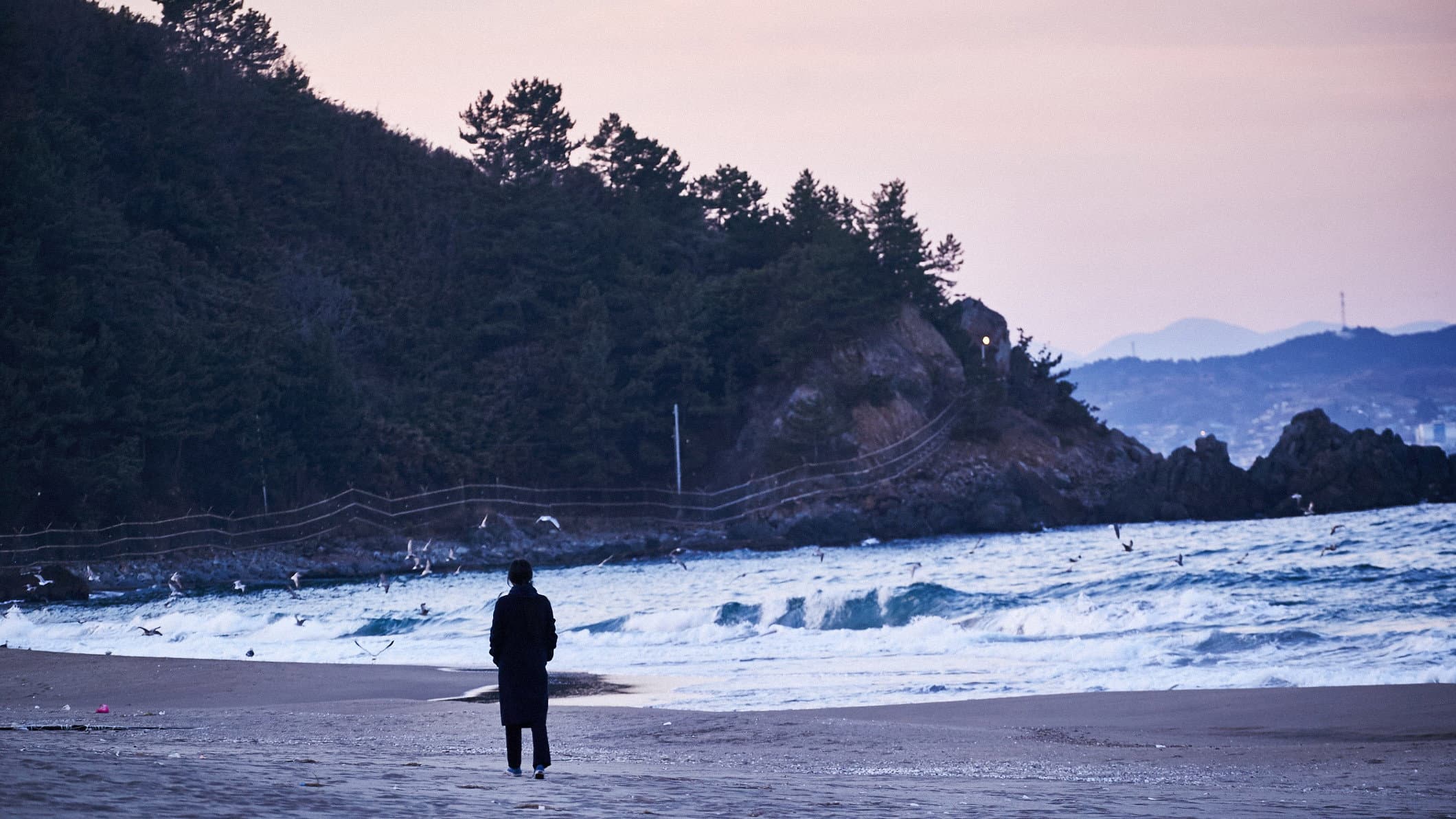 On the Beach at Night Alone - immagine