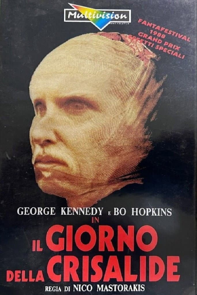 Poster di Il giorno della Crisalide