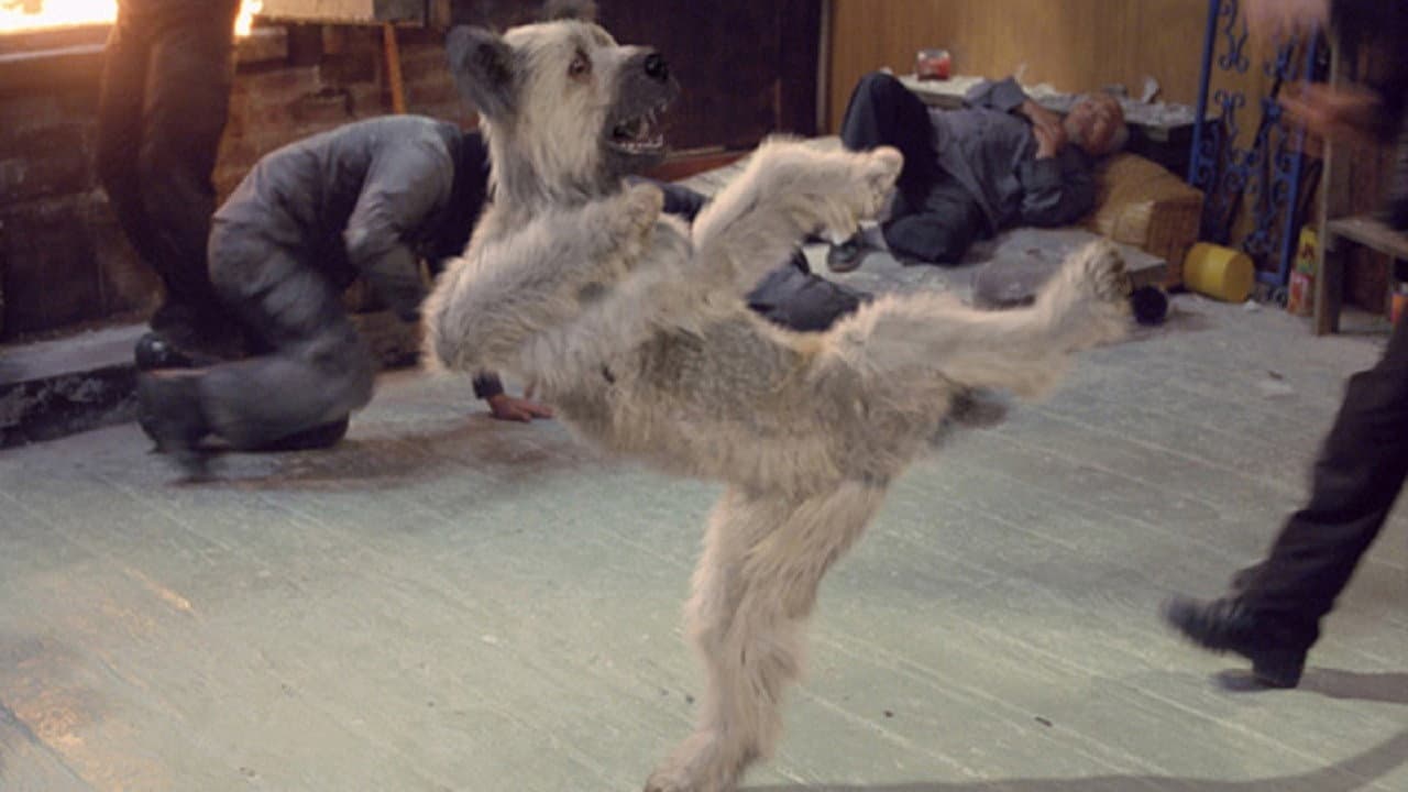 The Karate Dog - immagine