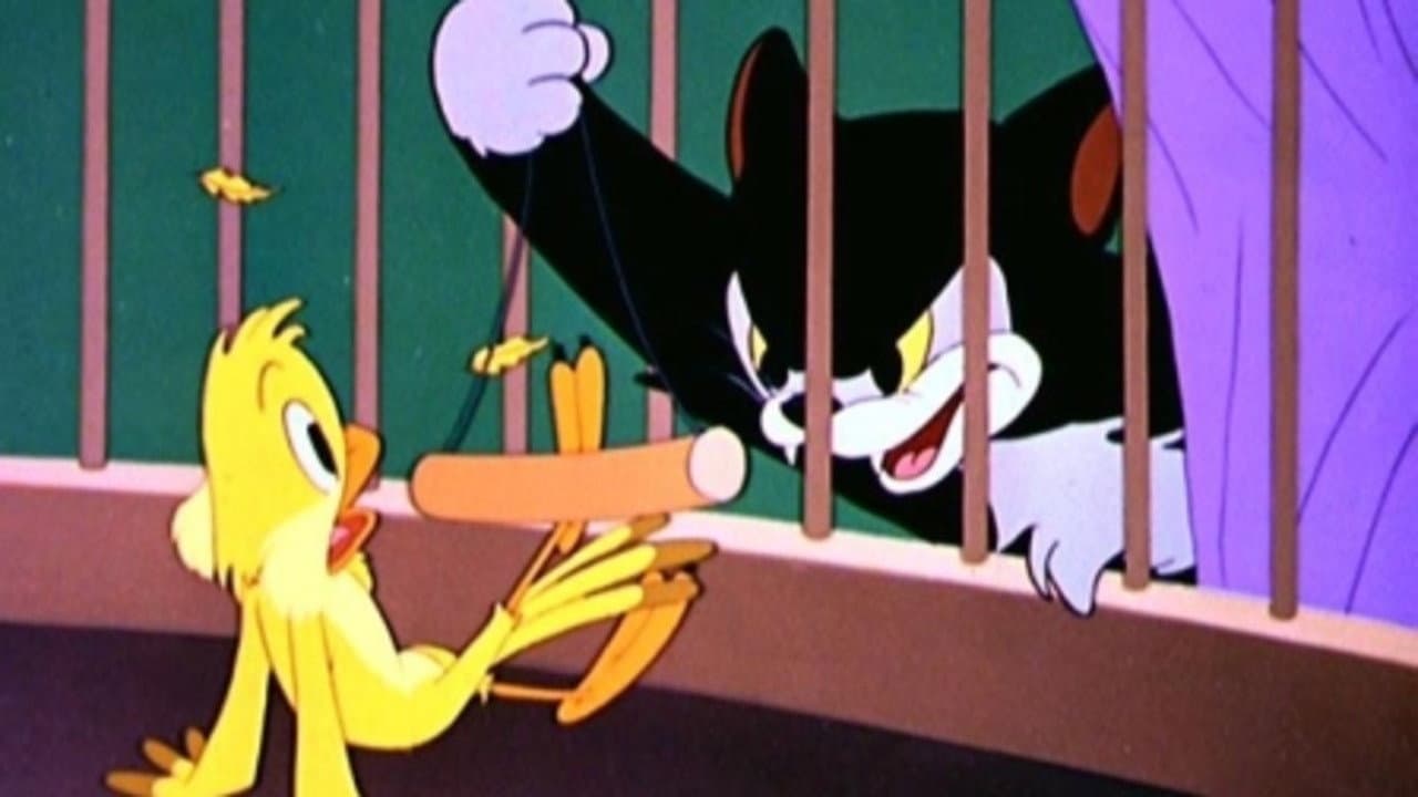 Figaro e Frankie - immagine