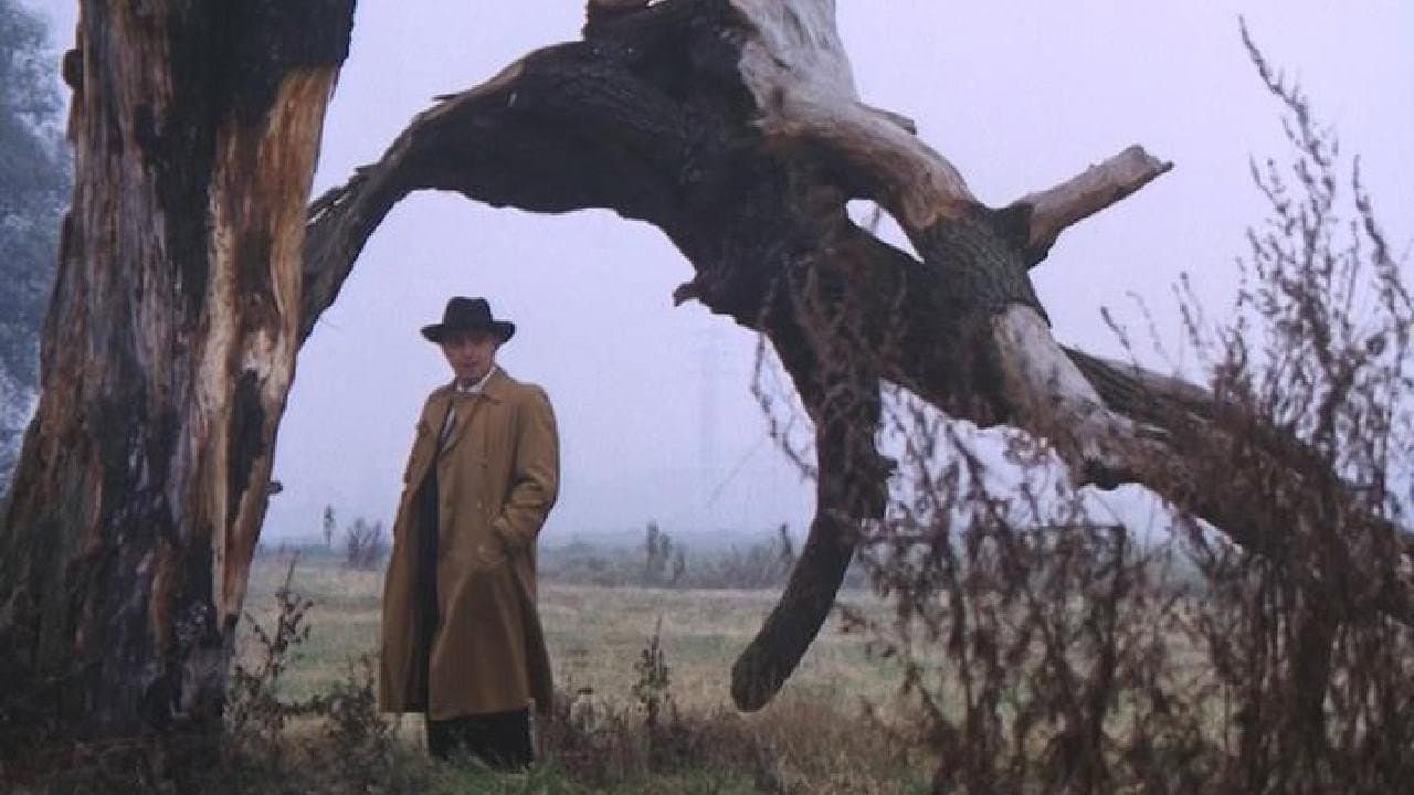 La tenerezza del lupo - immagine