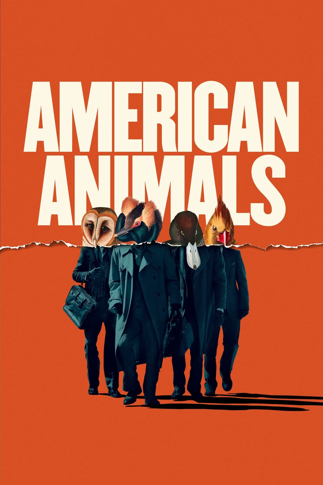 Poster di American Animals