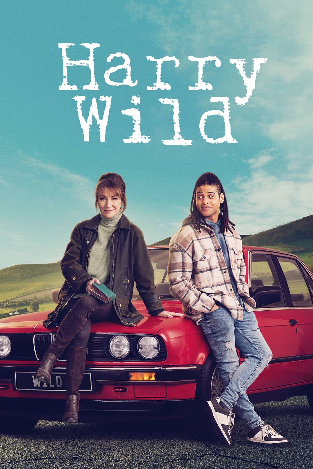 Poster di Harry Wild - La signora del delitto