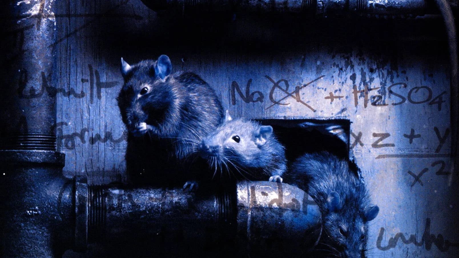 Altered Species - immagine