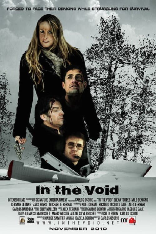 Poster di In the Void