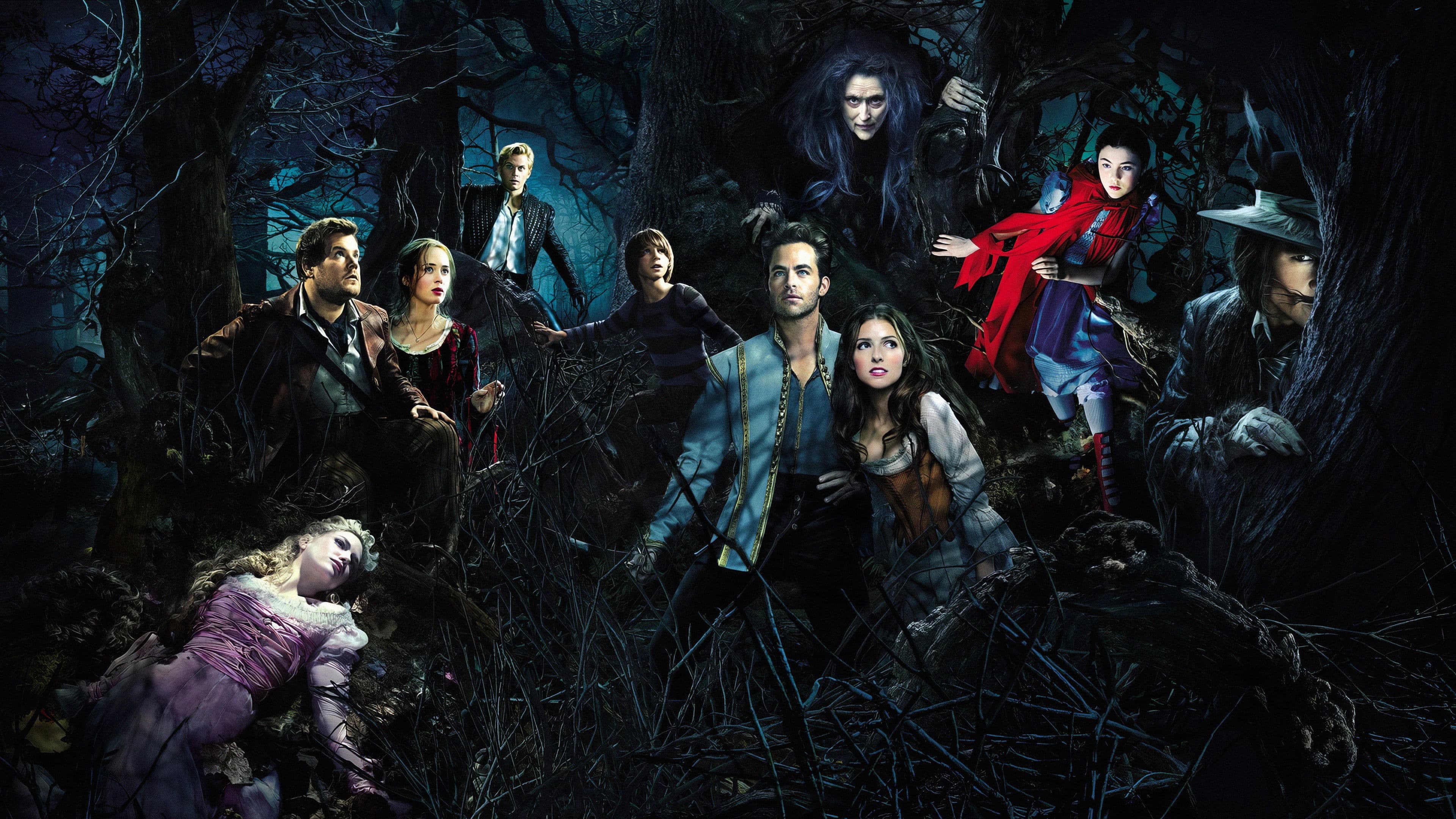 Into the Woods - immagine
