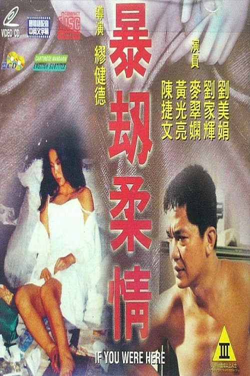 Poster di 暴劫柔情