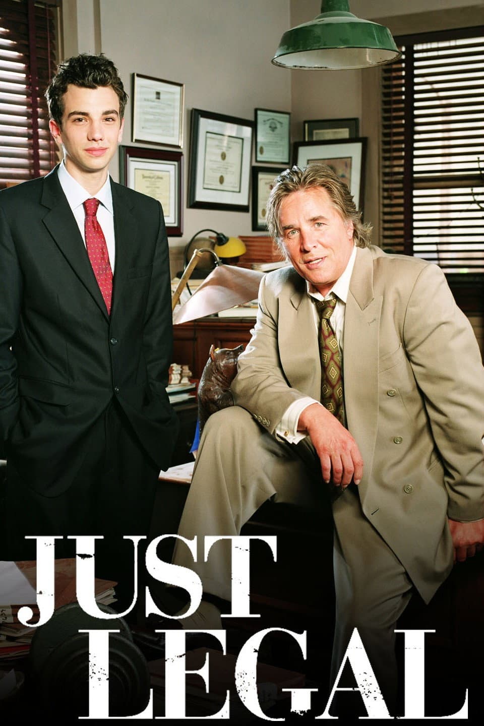 Poster di Just Legal