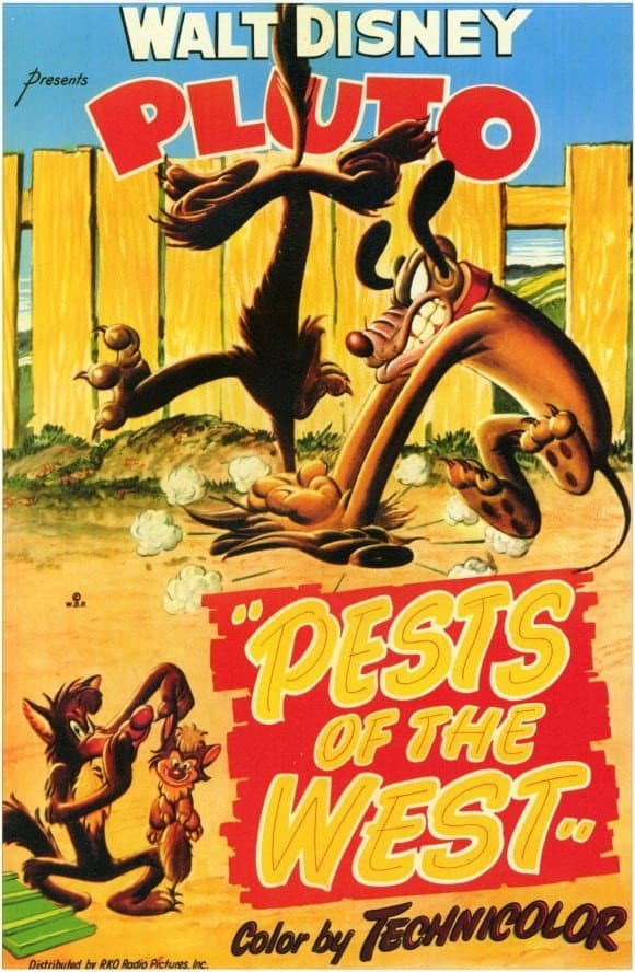 Poster di Che pesti quei coyote