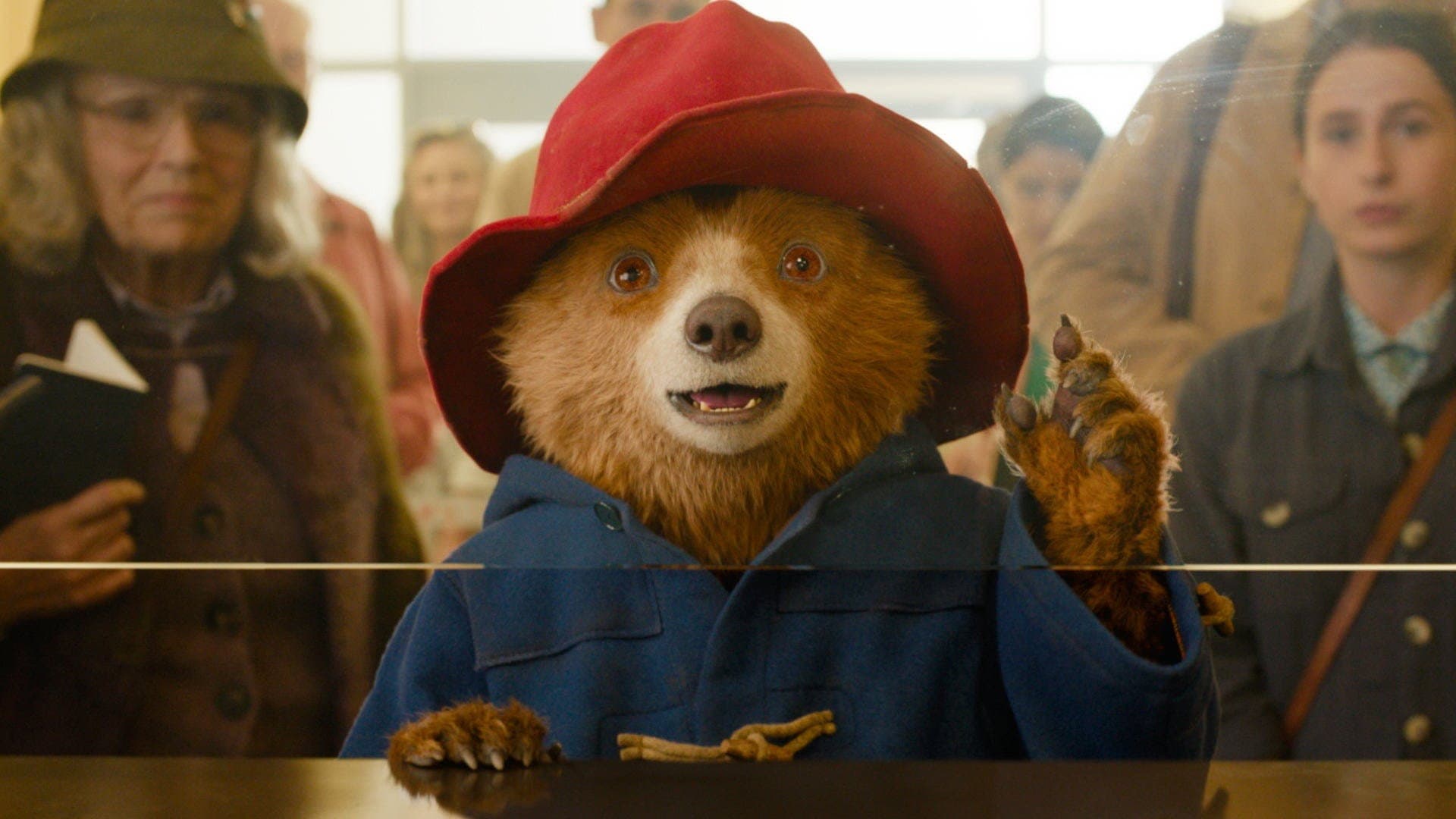 Paddington in Perù - immagine
