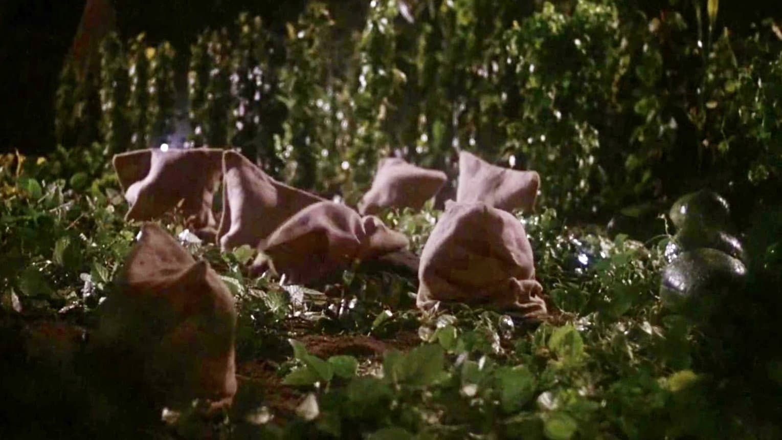 Motel Hell - immagine