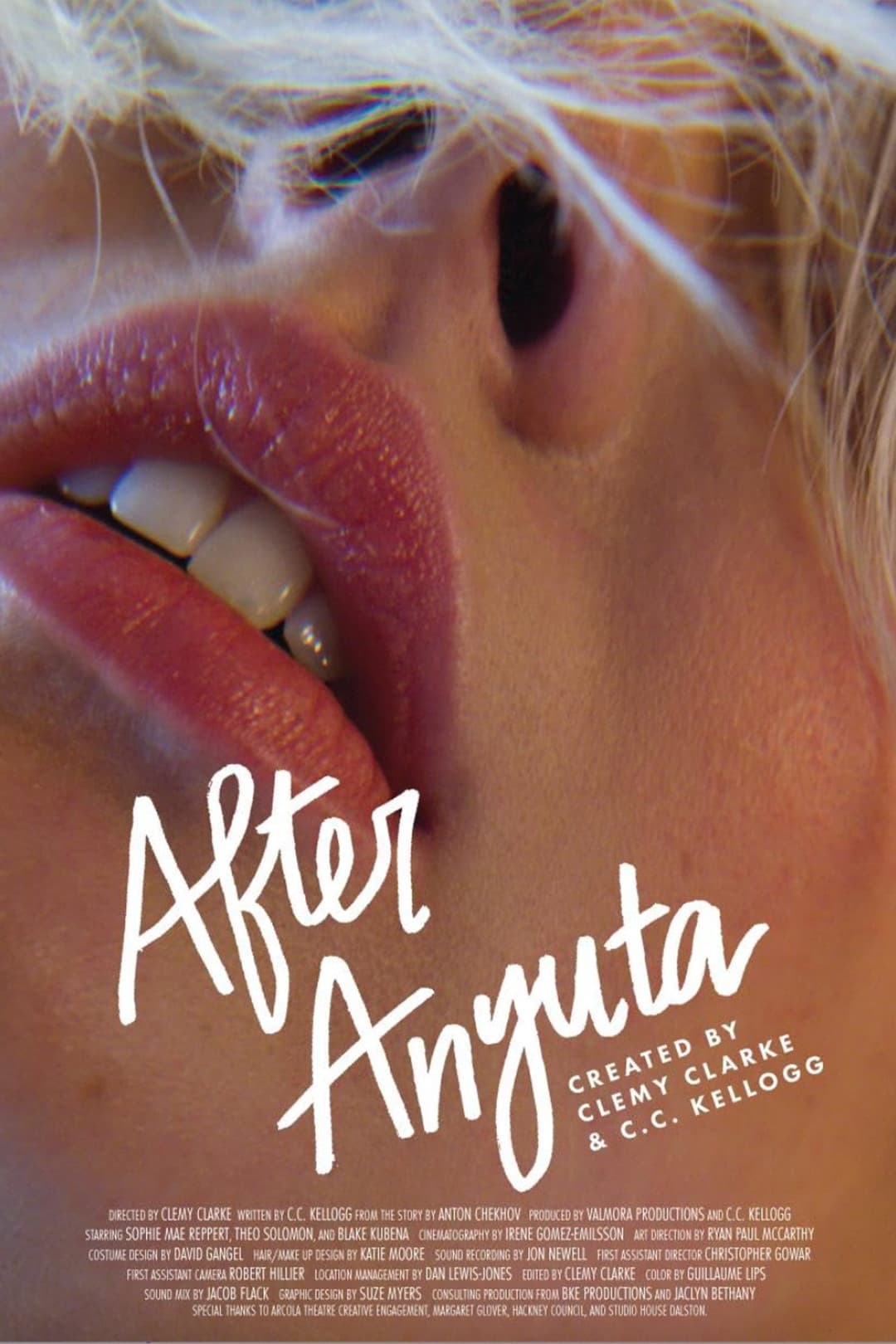 Poster di After Anyuta